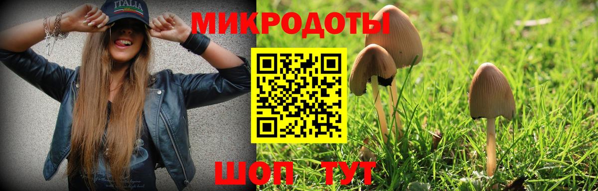 Галлюциногенные грибы Magic Shrooms Михайловск