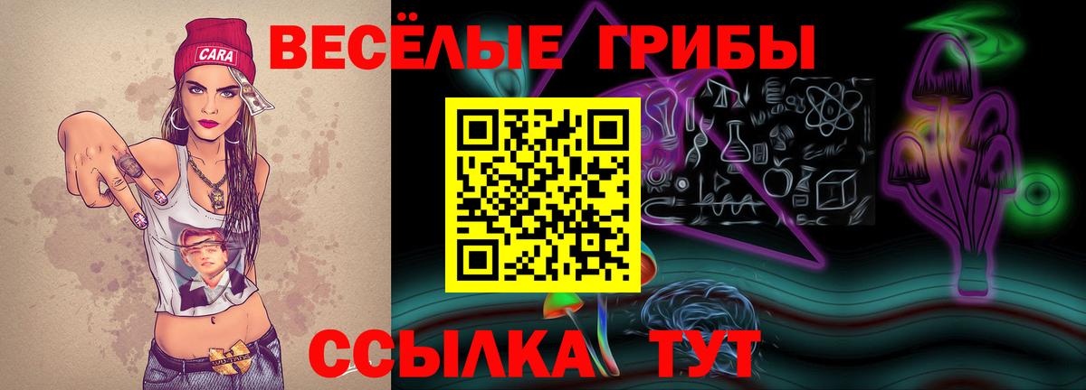 Михайловск  Галлюциногенные грибы прущие грибы  Вход с VPN 